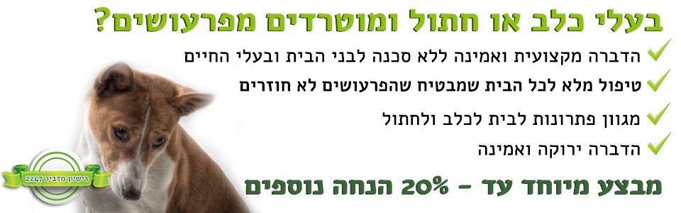 הדברת פרעושים