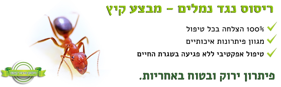 ריסוס נגד נמלים